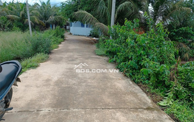 Đường ô tô tới nơi – đất sạch, dân cư hiền, chỉ 400 triệu